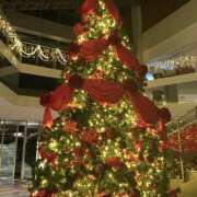 ヒメ日記 2024/12/17 12:29 投稿 西本 みなみ 一夜妻　大阪ミナミ店