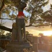 ヒメ日記 2025/02/12 13:09 投稿 西本 みなみ 一夜妻　大阪ミナミ店