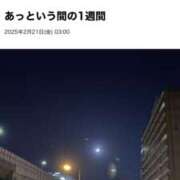 ヒメ日記 2025/02/23 02:29 投稿 西本 みなみ 一夜妻　大阪ミナミ店