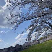 ヒメ日記 2025/04/09 08:19 投稿 西本 みなみ 一夜妻　大阪ミナミ店