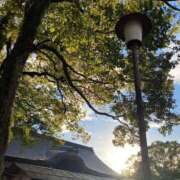 ヒメ日記 2026/01/12 08:14 投稿 西本 みなみ 一夜妻　大阪ミナミ店