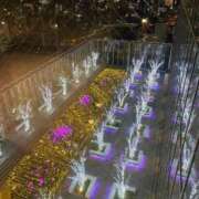 ヒメ日記 2026/02/10 03:54 投稿 西本 みなみ 一夜妻　大阪ミナミ店