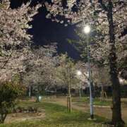 西本 みなみ 先日の 一夜妻　大阪ミナミ店