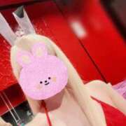 ヒメ日記 2025/09/10 12:00 投稿 ホノカ バニーコレクション千葉栄町店