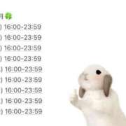 ヒメ日記 2026/05/13 14:01 投稿 ホノカ バニーコレクション千葉栄町店