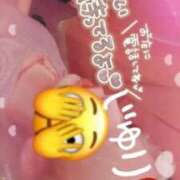 ヒメ日記 2026/05/06 20:35 投稿 じゅり Club Paradise（クラブパラダイス）