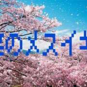 ヒメ日記 2025/04/06 09:00 投稿 あん　M性感 Three＆Men’s Spa 甲府