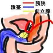 ヒメ日記 2026/08/29 09:00 投稿 あん　M性感 Three＆Men’s Spa 甲府