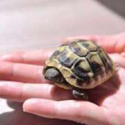 ヒメ日記 2025/06/21 15:00 投稿 あん　M性感 Three＆Men’s Spa 諏訪