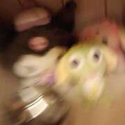 ヒメ日記 2024/12/16 23:20 投稿 まかな ニューヨークニューヨーク