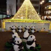 ヒメ日記 2024/12/31 20:35 投稿 まかな ニューヨークニューヨーク