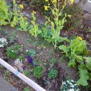 ヒメ日記 2025/02/21 14:13 投稿 まかな ニューヨークニューヨーク