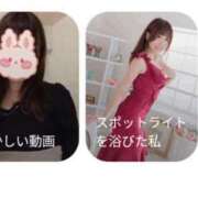 ヒメ日記 2025/02/24 10:41 投稿 まかな ニューヨークニューヨーク