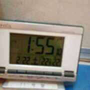 ヒメ日記 2025/02/28 10:39 投稿 まかな ニューヨークニューヨーク