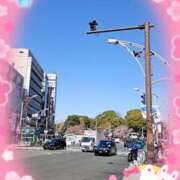 ヒメ日記 2025/03/10 23:40 投稿 まかな ニューヨークニューヨーク