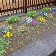 ヒメ日記 2025/03/25 18:45 投稿 まかな ニューヨークニューヨーク