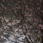 ヒメ日記 2025/03/31 23:25 投稿 まかな ニューヨークニューヨーク