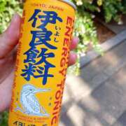 ヒメ日記 2025/07/07 11:52 投稿 まかな ニューヨークニューヨーク