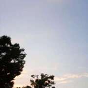 ヒメ日記 2025/08/25 10:31 投稿 まかな ニューヨークニューヨーク