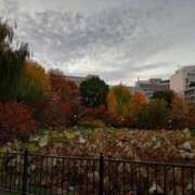 ヒメ日記 2025/12/03 06:44 投稿 まかな ニューヨークニューヨーク