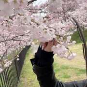 ヒメ日記 2025/04/02 17:00 投稿 りか 妻天 尼崎店