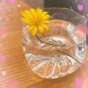 ヒメ日記 2025/11/24 12:50 投稿 りか 妻天 尼崎店