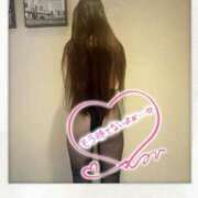 ヒメ日記 2025/09/03 10:52 投稿 らん 恋のうた