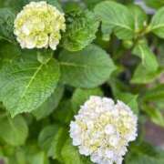 ヒメ日記 2025/05/27 19:45 投稿 岩崎～IWASAKI～ BBW 西川口店