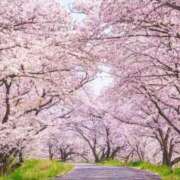 ヒメ日記 2025/03/21 09:49 投稿 えみ タレントCLUB