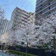 ヒメ日記 2025/03/31 09:54 投稿 えみ タレントCLUB