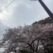 ヒメ日記 2026/03/30 11:02 投稿 えみ タレントCLUB