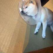 ヒメ日記 2026/04/01 12:05 投稿 えみ タレントCLUB