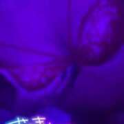 ヒメ日記 2025/06/06 12:20 投稿 ロゼ ウルトラセレクション