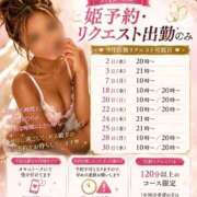 ロゼ 9月からは姫予約・リクエスト出勤のみになります⚠️ ウルトラセレクション