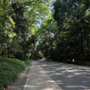 ヒメ日記 2025/07/19 09:00 投稿 あかね 新宿・新大久保おかあさん