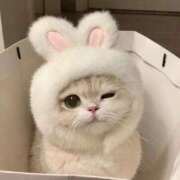 ヒメ日記 2025/04/03 08:31 投稿 ゆいな 池袋ぱんぷきん（シンデレラグループ）