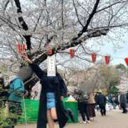 ヒメ日記 2025/04/05 10:25 投稿 ゆいな 池袋ぱんぷきん（シンデレラグループ）