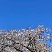 ヒメ日記 2025/04/09 12:47 投稿 ゆいな 池袋ぱんぷきん（シンデレラグループ）