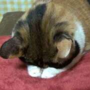 ヒメ日記 2025/07/04 12:24 投稿 ゆいな 池袋ぱんぷきん（シンデレラグループ）