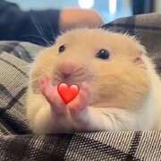 ヒメ日記 2025/07/06 21:06 投稿 ゆいな 池袋ぱんぷきん（シンデレラグループ）