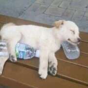 ヒメ日記 2025/07/18 23:03 投稿 ゆいな 池袋ぱんぷきん（シンデレラグループ）