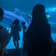 ヒメ日記 2025/07/23 10:25 投稿 ゆいな 池袋ぱんぷきん（シンデレラグループ）