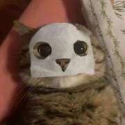 ヒメ日記 2025/07/26 22:24 投稿 ゆいな 池袋ぱんぷきん（シンデレラグループ）