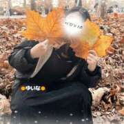 ヒメ日記 2025/11/30 20:55 投稿 ゆいな 池袋ぱんぷきん（シンデレラグループ）