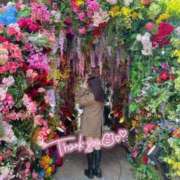 ヒメ日記 2025/04/11 16:14 投稿 ゆいか ハイ・チュッ