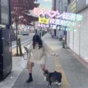 ヒメ日記 2025/11/24 17:53 投稿 ゆいか ハイ・チュッ