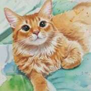 森本 風俗で働く理由 鶯谷デッドボール