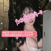 ヒメ日記 2025/01/19 08:33 投稿 ゆい【FG系列】 ハンドdeフィーリングin横浜（FG系列）