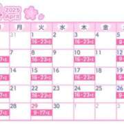 ヒメ日記 2025/04/14 22:33 投稿 ゆい【FG系列】 ハンドdeフィーリングin横浜（FG系列）