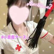 ヒメ日記 2025/10/12 19:58 投稿 ゆい【FG系列】 ハンドdeフィーリングin横浜（FG系列）